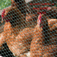 Chicken Wire Mesh Chicken Wire Mesh Made in China Factory